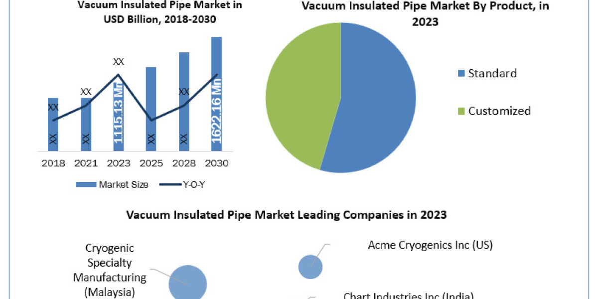 Global Vacuum Insulated Pipe Market Dynamics and Forecast (2024-2030): Trends and Insights