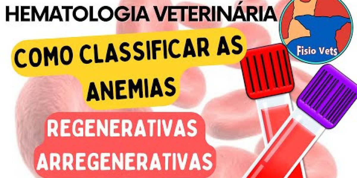 Liver Disease in Dogs Causes, Symptoms and Treatment