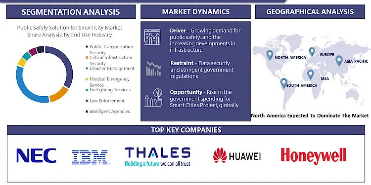 Public Safety Solution For Smart City Market Navigating the Market Landscape: Size, Growth, and Share