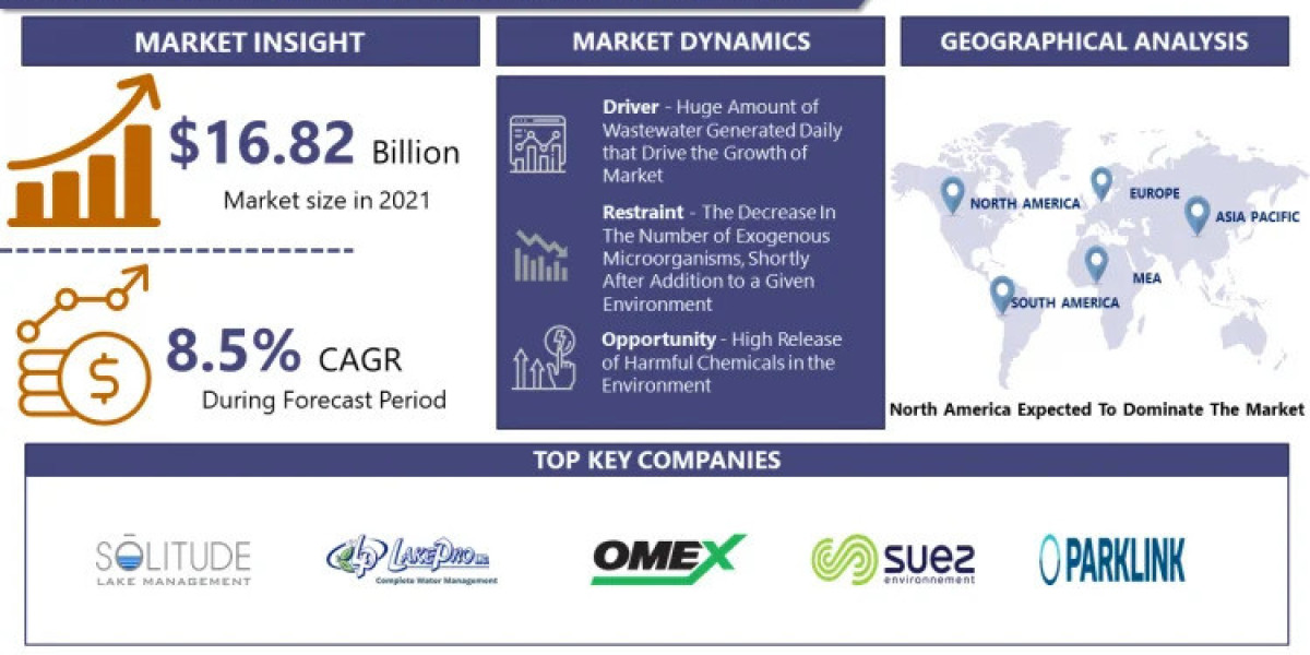 Biological Augmentation Services Market Size, Business Revenue Forecast, Leading Competitors | IMR