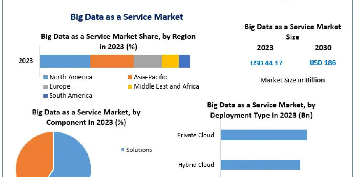 Big Data as a Service Industry Forecast to Reach US$ 186 Bn by 2030