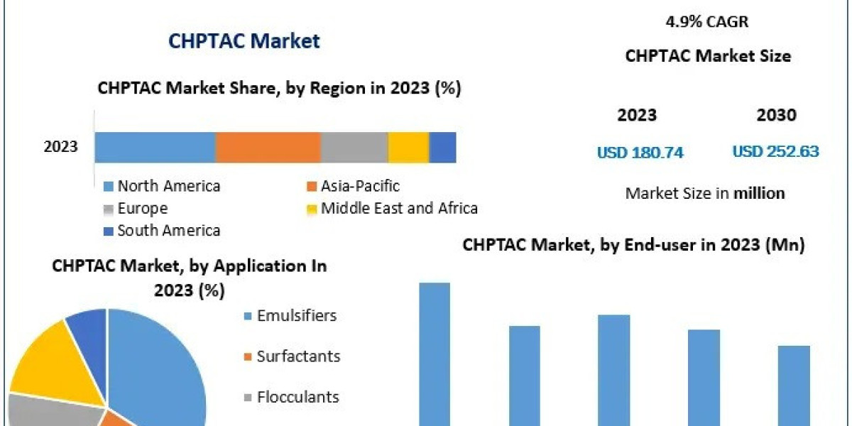 CHPTAC Market 2024-2030: Global Trends and Future Outlook