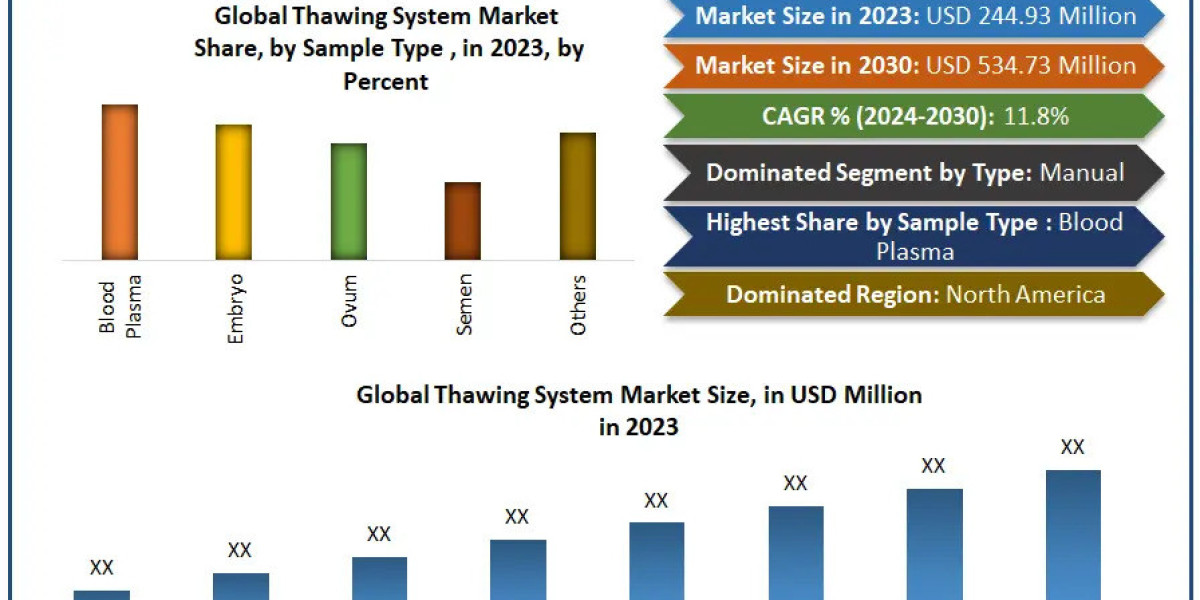 Thawing System Company Projected to Revolutionize the Market by 2030