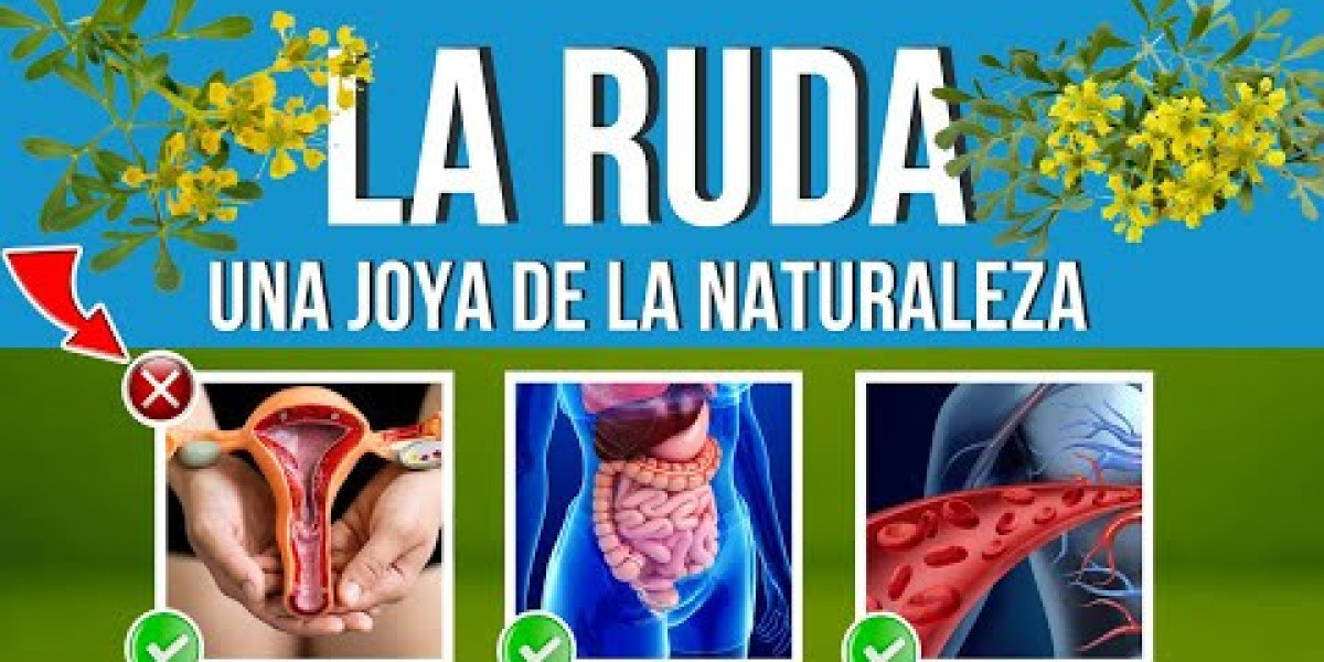 Ruda: La Hierba Mágica que Transforma tu Bienestar y Protege tu Energía