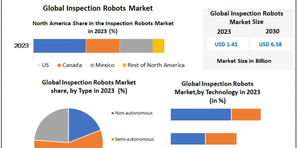 Inspection Robots Market: Competitive Landscape and Key Players Outlook to 2030