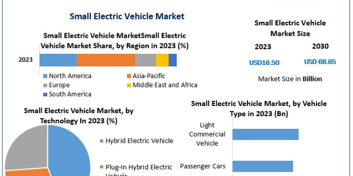 Small Electric Vehicle Company: Redefining the Future of Eco-Friendly Commuting by 2030